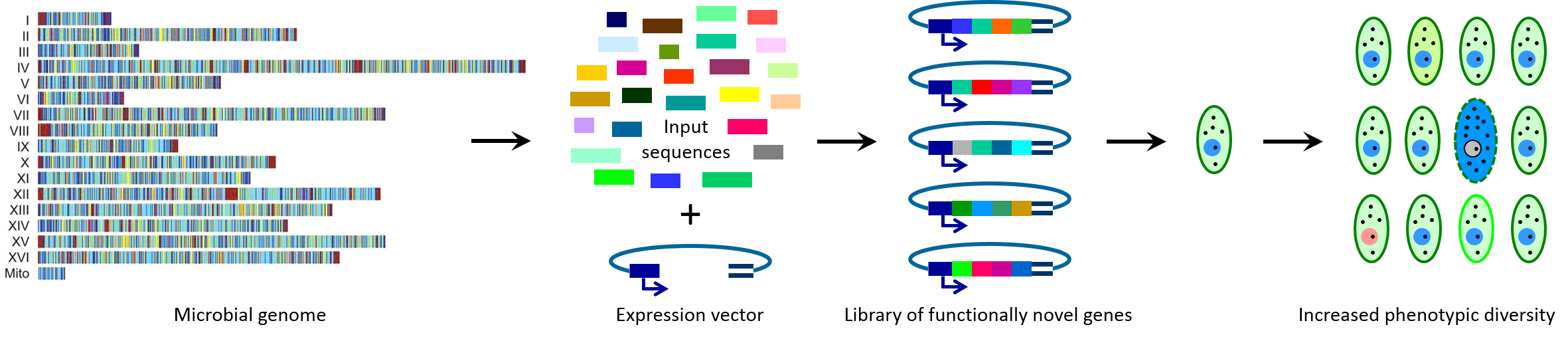 function-generator-technology-primordial-genetics